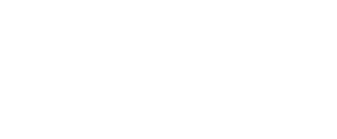 FeiYun logo
