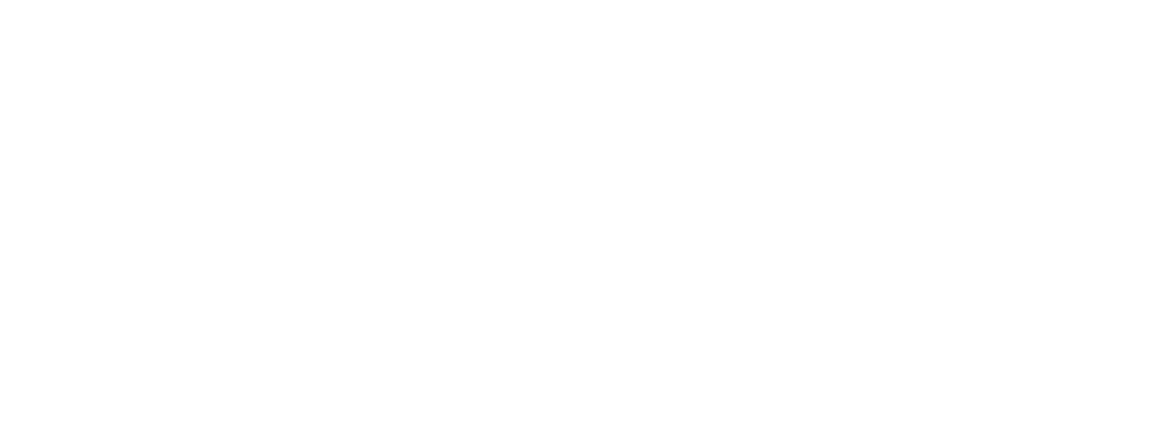 Piab Logo