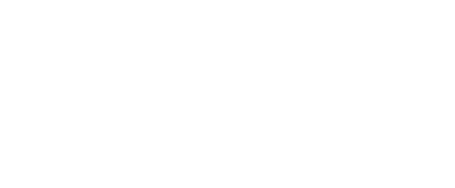 FeiYun logo
