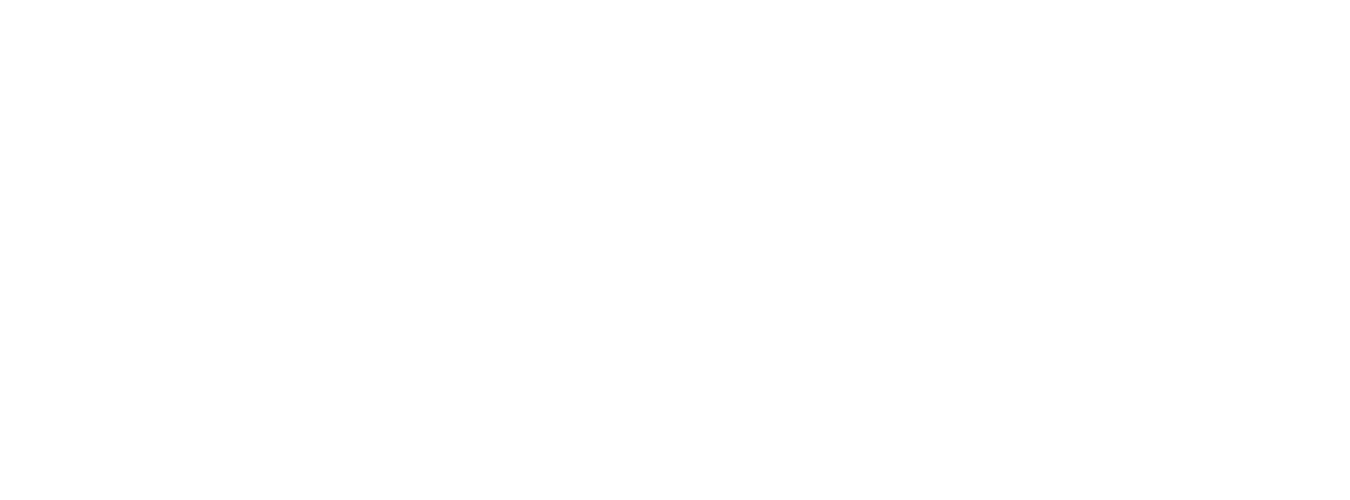 Piab Logo